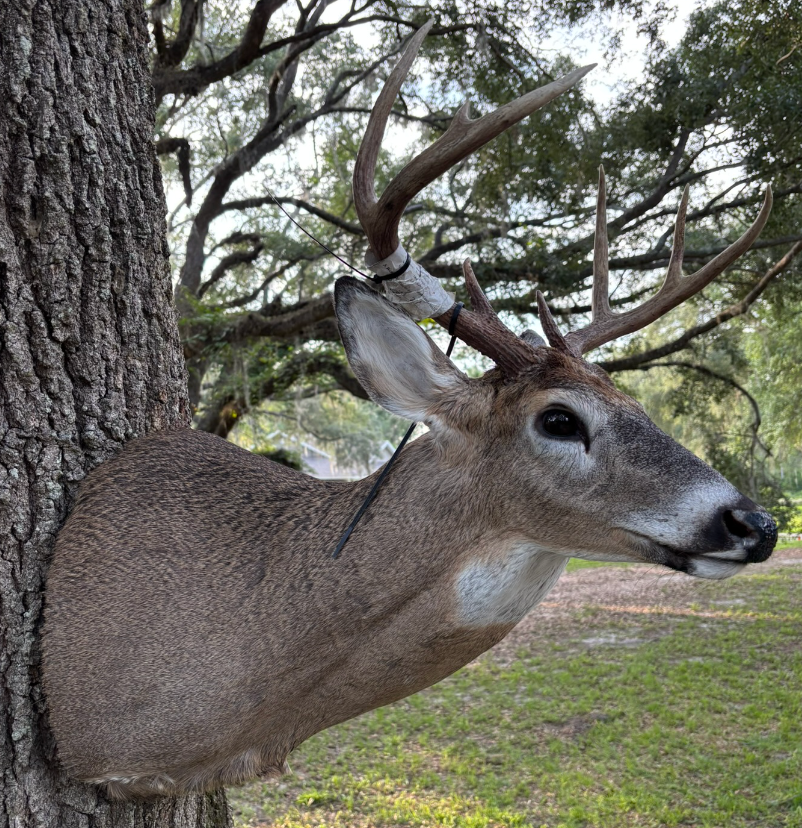 Screen Shot 2025-06-02 at 3.19.27 PM