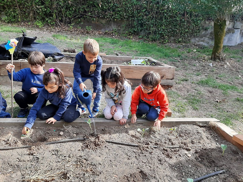 NOVO COMEZO PARA O NOSO HORTO