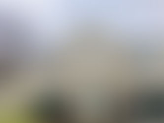 本日はオハイオ州Masonで借り手と一緒に賃貸物件を2軒内覧、その内の1軒は可能性がありそうです! Multiple Listing Services、通称、MLSには掲載されていませんが、僕が仲介可