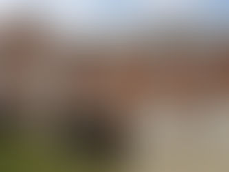 本日はオハイオ州Masonで賃貸一軒家探し、クライアントの気に入った物件が見つかりましたので、芝刈り費用を賃料に含めてもらえるか、貸し手エージェントに確認中です!