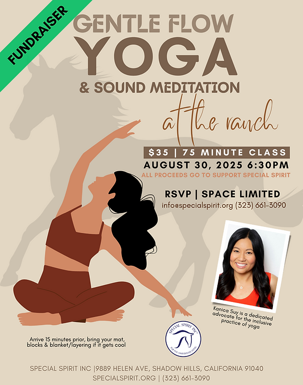 Yoga SpecialSpirit.png
