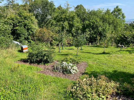 Spätsommer - Mähzeit