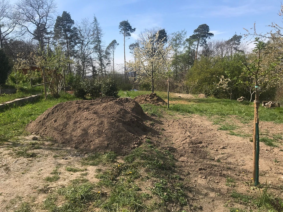 Vorbereitung Wildblumenwiese Teil 4