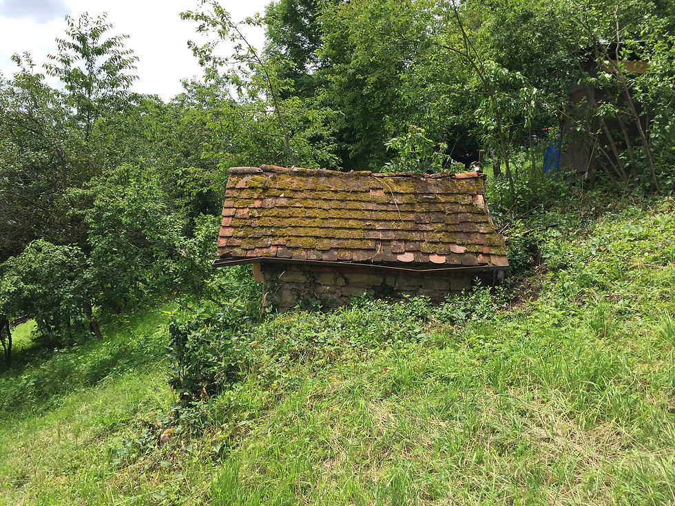 Weinberghäuschen Dach Bild 5