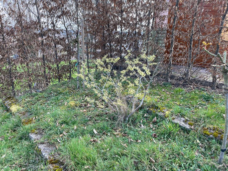 Der Frühling zieht ein