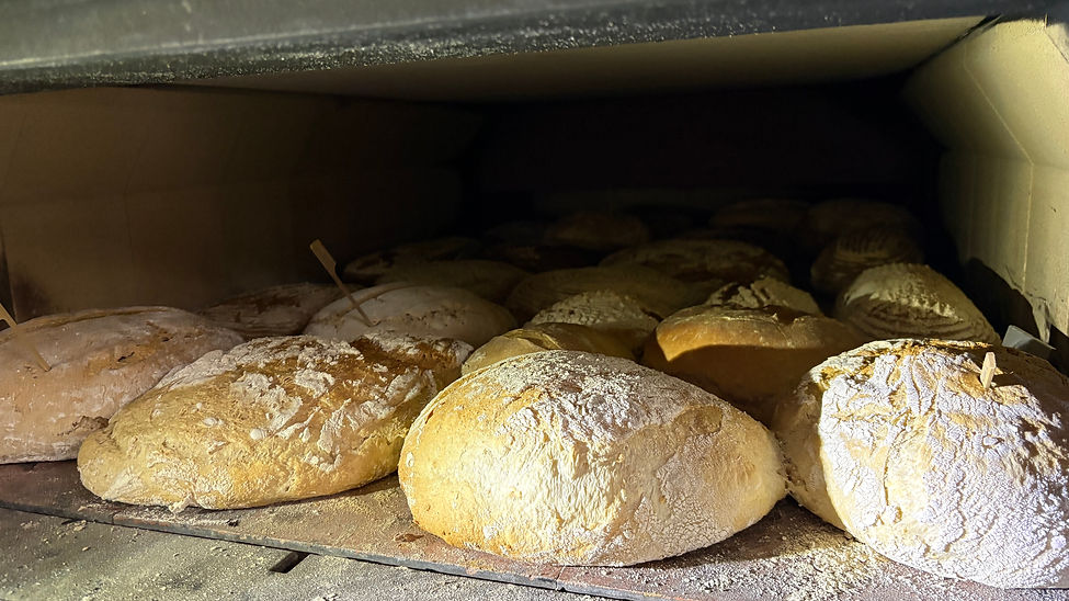 Kräuter- und Brotgenuß : Eigenes Kräuterbrot aus dem Holzbackofen
