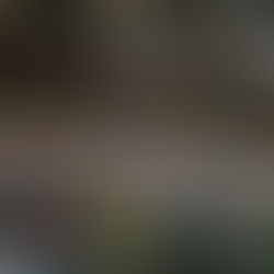 これまでの展示車両をアップしました!