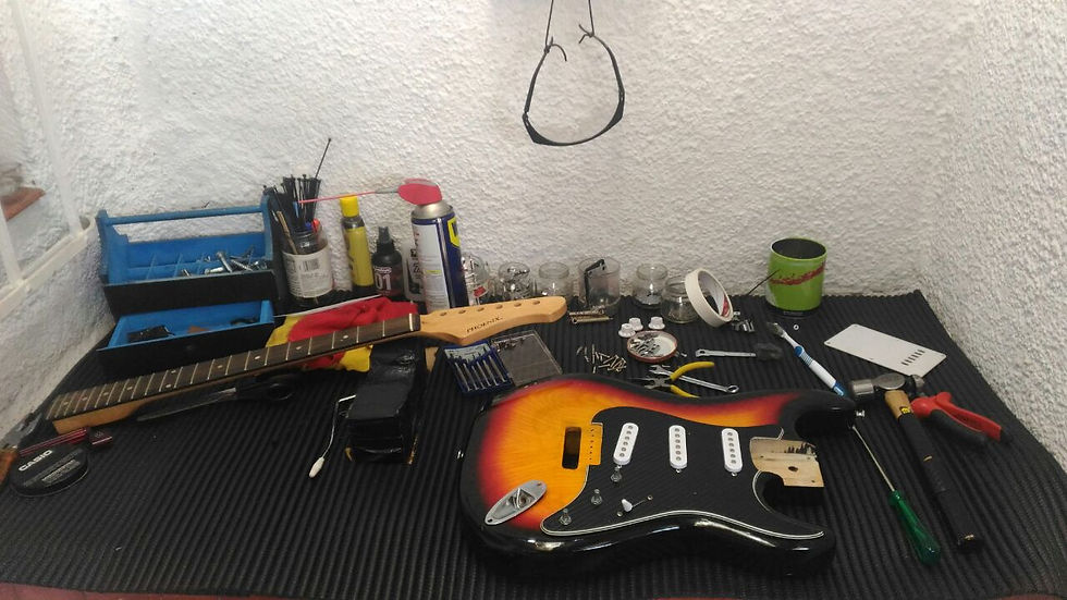 Guitarra Dolphin Strato