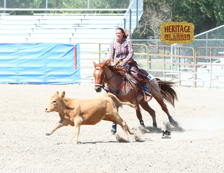 rider performing cow horse maneuvers