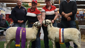 Royal Adelaide Show 2024