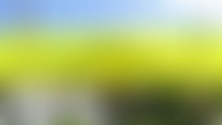 قدامت پسند! مسلمان ہی کیوں؟