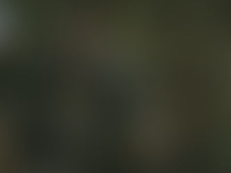 Kurulus Osman EPISODE 31 (04) Season 2 with Urdu Subtitles GiveMe5