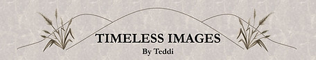 logo.JPG