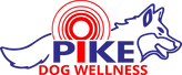 Primary Logo - Blue + Red_4x.png