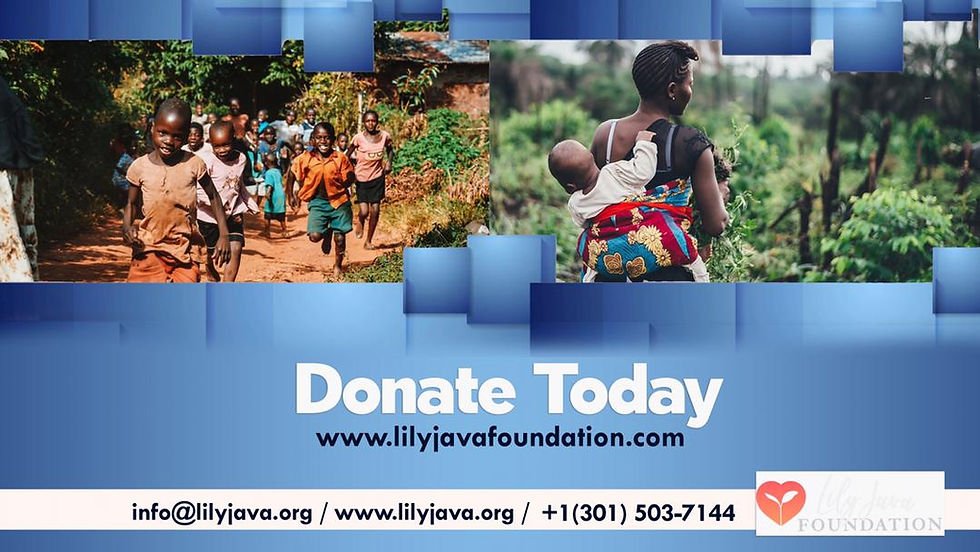 Lily Java Foundation Outreach Zimbabwe