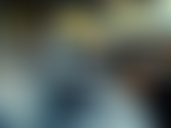 Experience Luxury: Premier Limousine Service in North Carolina