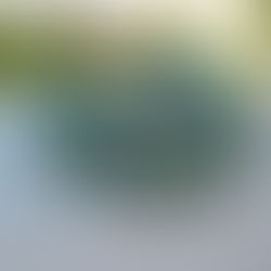 Τα πρώτα ανοιξιάτικα σχέδια είναι έτοιμα