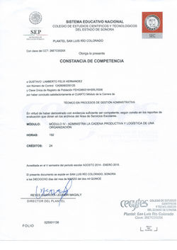 Cadena productiva y logistica de una organizacion