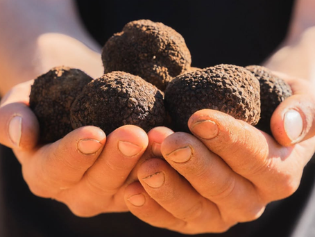 Beneficios de consumir trufa negra: Más allá del sabor