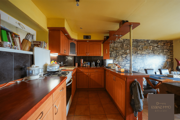 rodinny dom vinica s vinicou na predaj, Slovensko
einfamilienhaus zu verkaufen in der Slowakei mit Weinberg