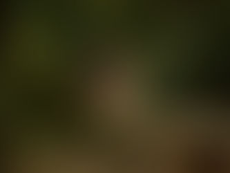 🎥📸 Gérer ses contrats clients : retour sur mon expérience en parc animalier