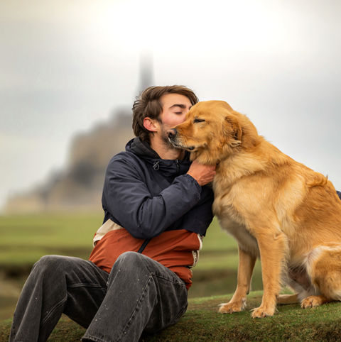 Cécile Joussé photographe animalier ille et vilaine