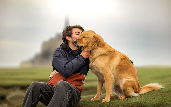Cécile Joussé photographe animalier ille et vilaine