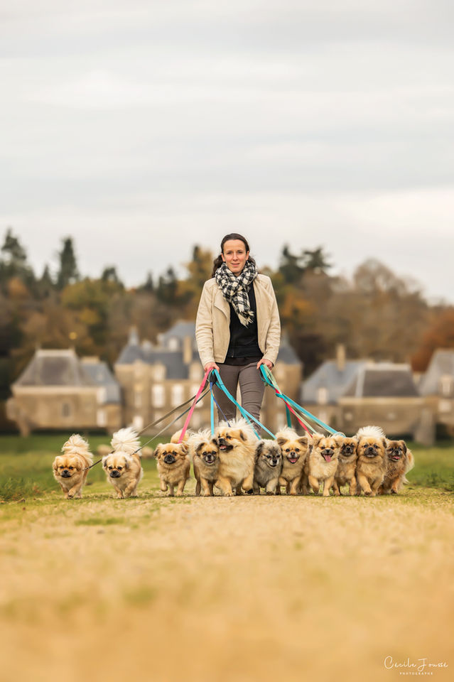 Cécile Joussé photographe animalier ille et vilaine