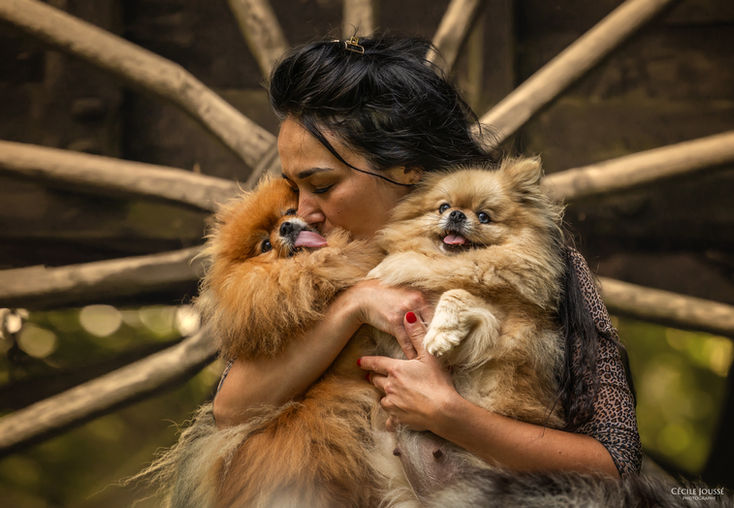 Cécile Joussé photographe animalier ille et vilaine
