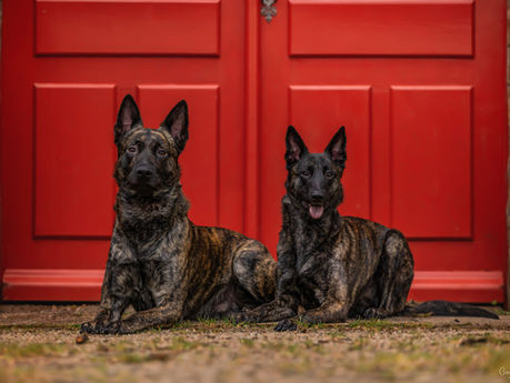 📜 Le droit à l’image en photographie humain & animal : ce que tu dois vraiment savoir