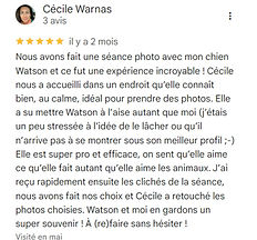 Cécile Joussé photographe animalier ille et vilaine