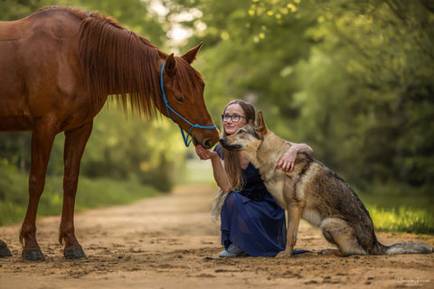Cécile Joussé photographe animalier ille et vilaine