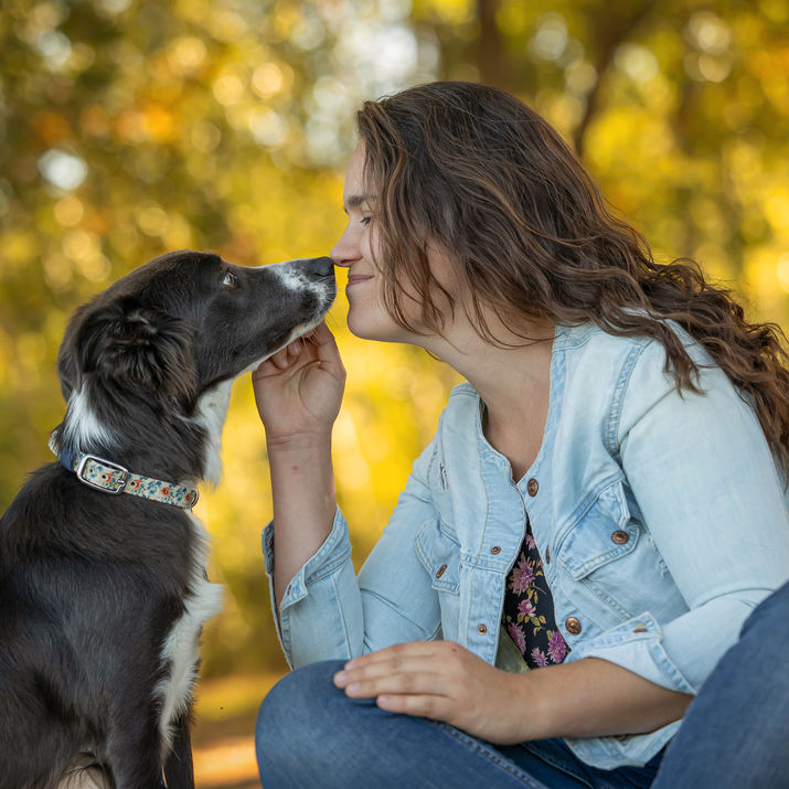 Cécile Joussé photographe animalier ille et vilaine