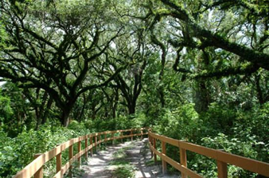 Long Key_Trees