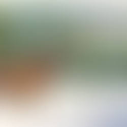 Spring 2022 Limited Prints Coming Soon!