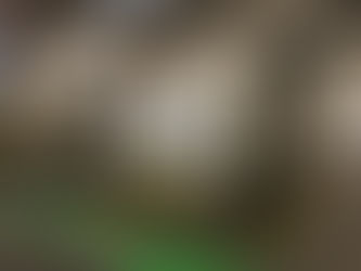 Heavy Duty Belt Conveyors for every Industry 