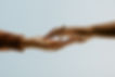 120739100_10223653478354322_716136932093323425_n.jpeg