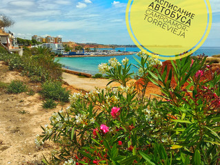 Как добраться из Dehesa de Campoamor в Torrevieja