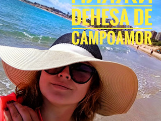 Пляжи Dehesa De Campoamor