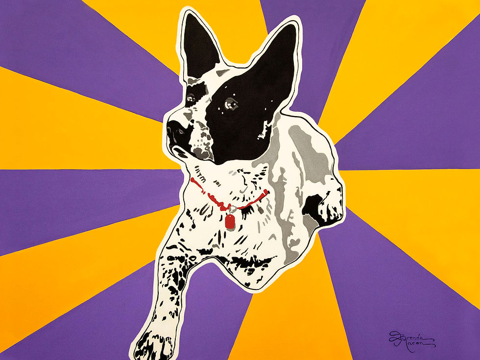 Thumbnail: Paco the Blue Heeler