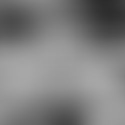 scientists looking through microscopes