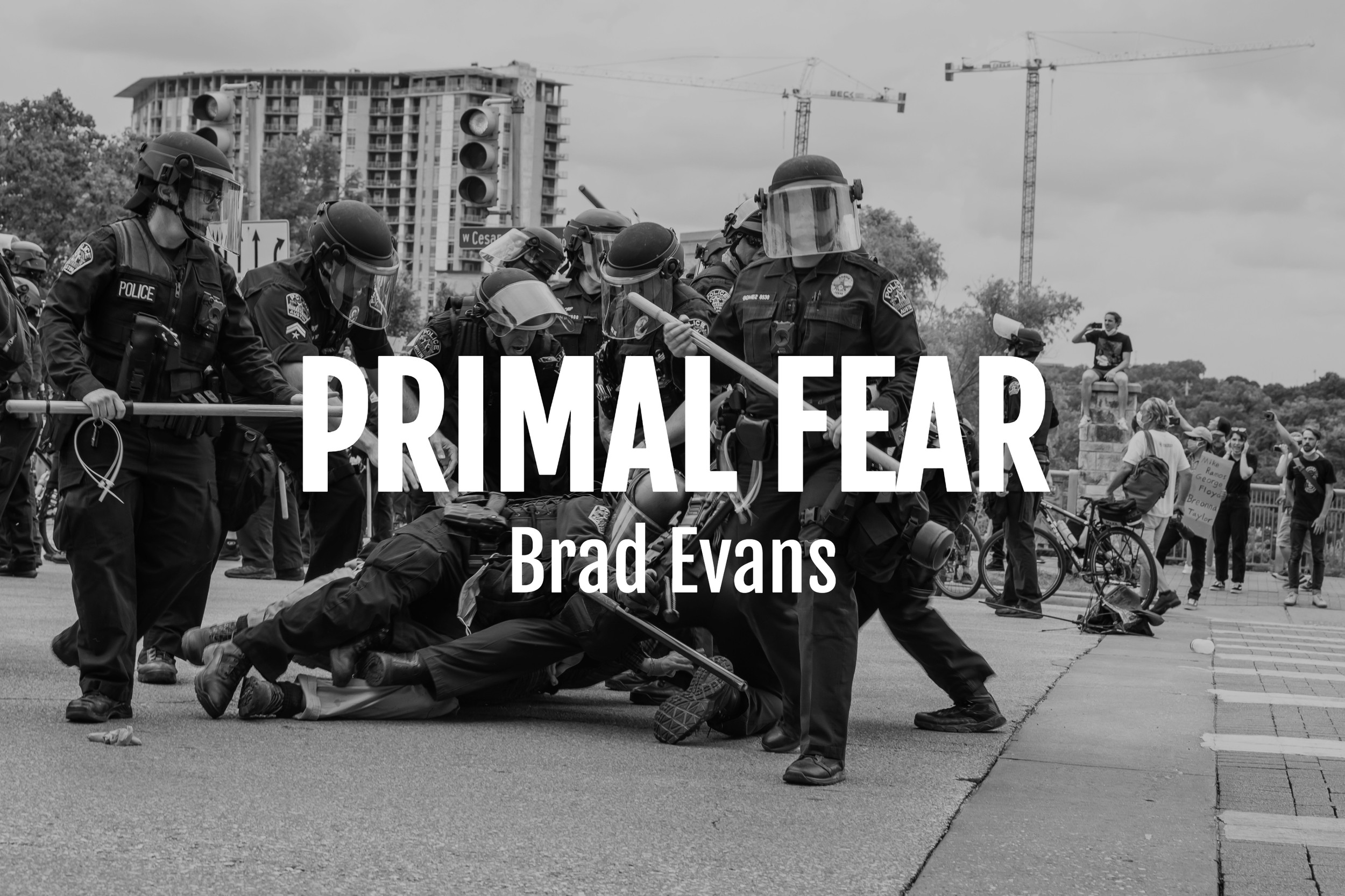 "Primal Fear: The Weaponisation of Nothingness" By Brad Evans (Keywords: Violence; Bodies; Disappearance; State Power; Sovereignty)