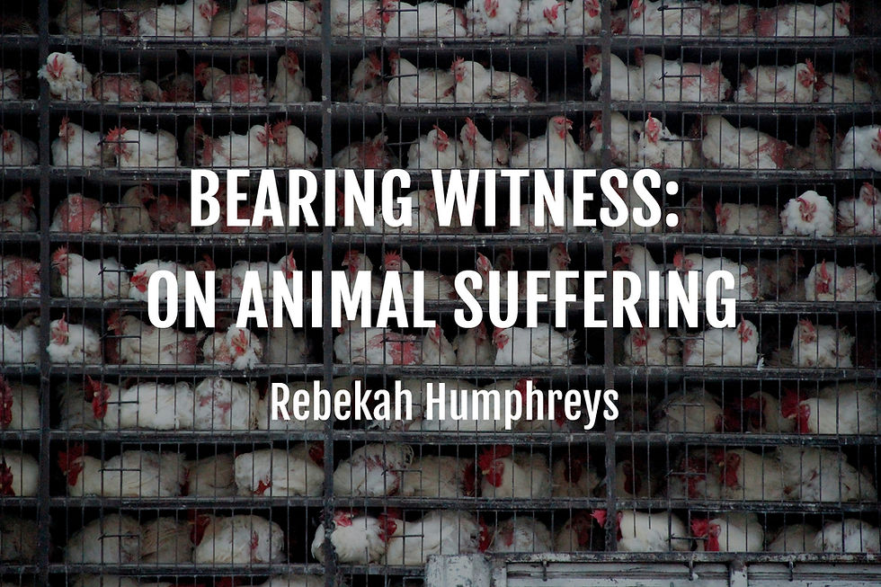 factory farming