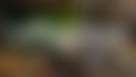 "Philosophy Born of Struggle" by Vincent Lloyd (Keywords: Black Philosophy; Old Age; Moods; Hope)