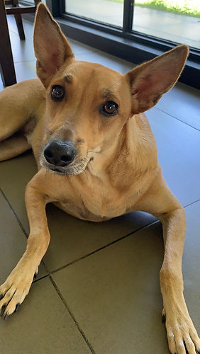 WhatsApp Image 2026-01-08 at 5.37.37 PM.jpeg