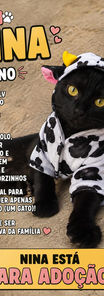 GATA RESERVADA
