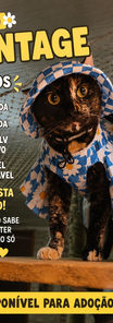 GATA DOAÇÃO
