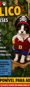 GATO PARA ADOÇÃO