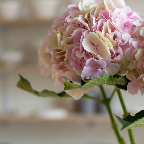 Frische Blumen von Fleur de Lou in Vase neben Tonwerkzeugen.