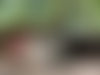 Donkey Chronicles: July Newsletter